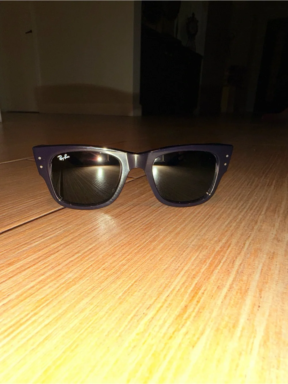 Ray-Ban Men's Brown Frame Black Lens Sunglasses